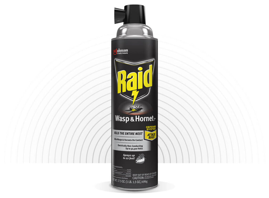 Raid Wasp Killer